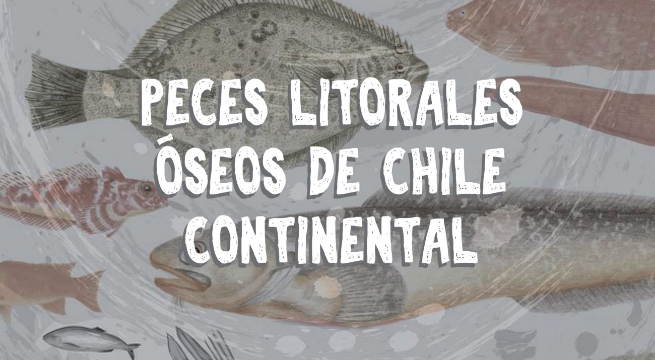 Portada guía peces litorales.
