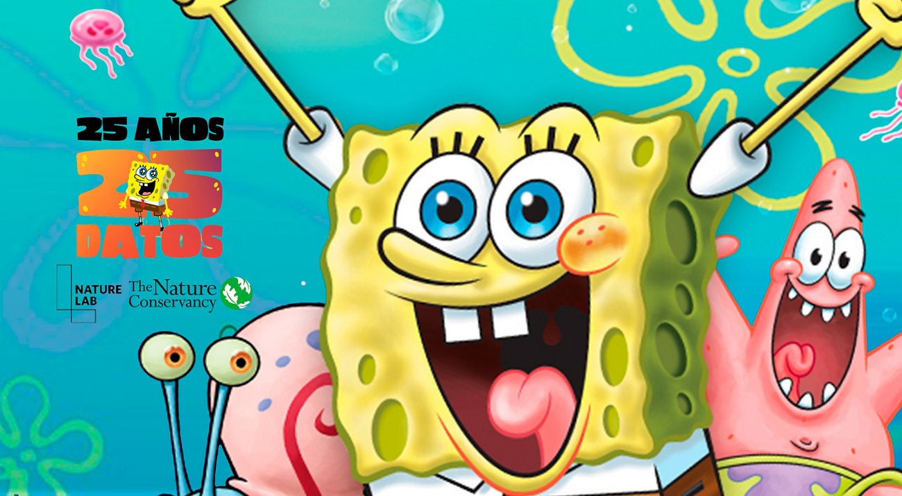 Bob Esponja cumple 25 años y junto con TNC te presenta más detalles de los habitantes de Fondo de Bikini.