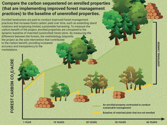 Graphic comparing carbon sequestered against a baseline.