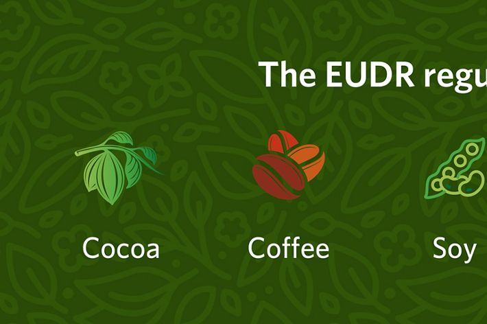 Illustration of the seven commodities affected by EU deforestation law: cocoa, coffee, soy, palm oil, wood, rubber, and cattle/beef.