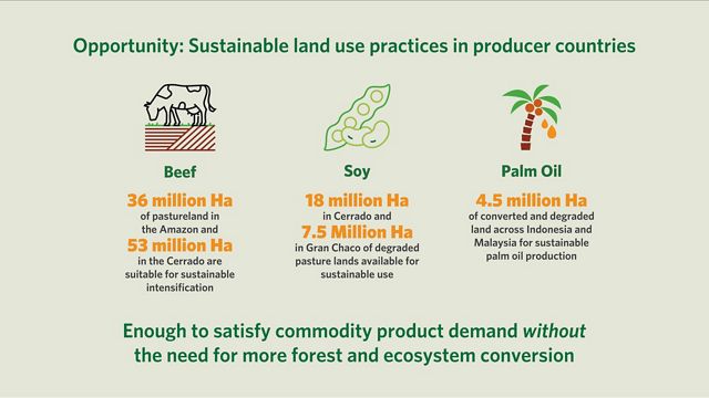 Infographic showing opportunities for sustainable land use practices in the beef, soil and palm oil sectors.