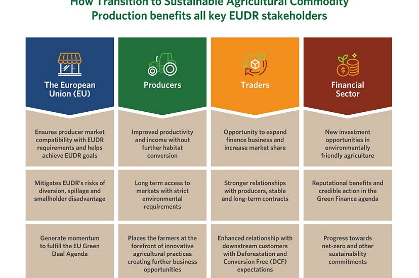 Infographic showing steps in the transition to sustainable agricultural commodity production.
