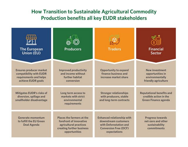 Infographic of the how four stakeholders can transition to sustainable agricultural commodities (the EU, traders, financial sector and farmers): 