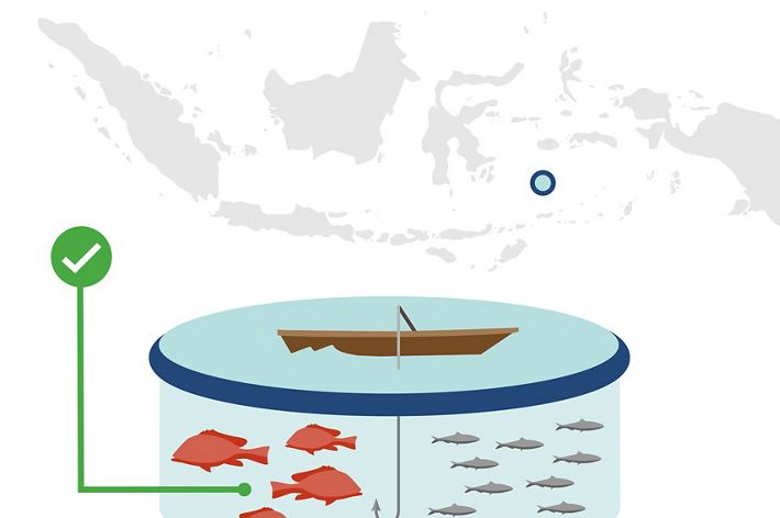 Zero Overfishing
