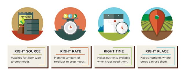 Listing of the 4Rs: right source, right rate, right time, right place.