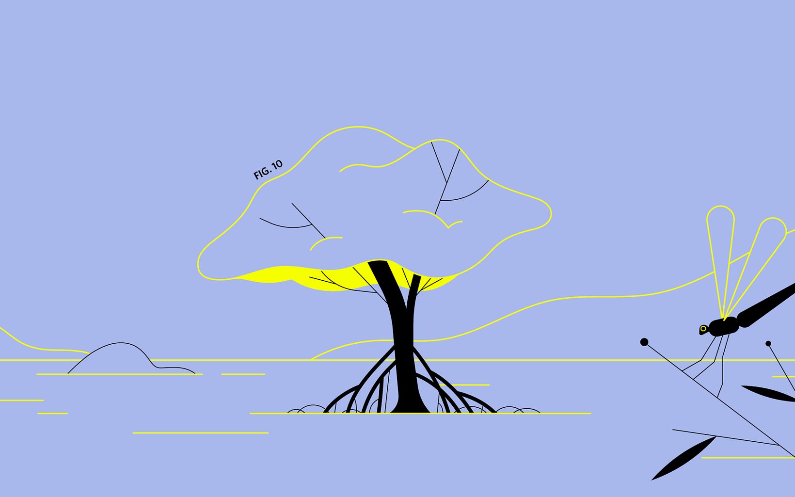 Imagen animada de manglar.