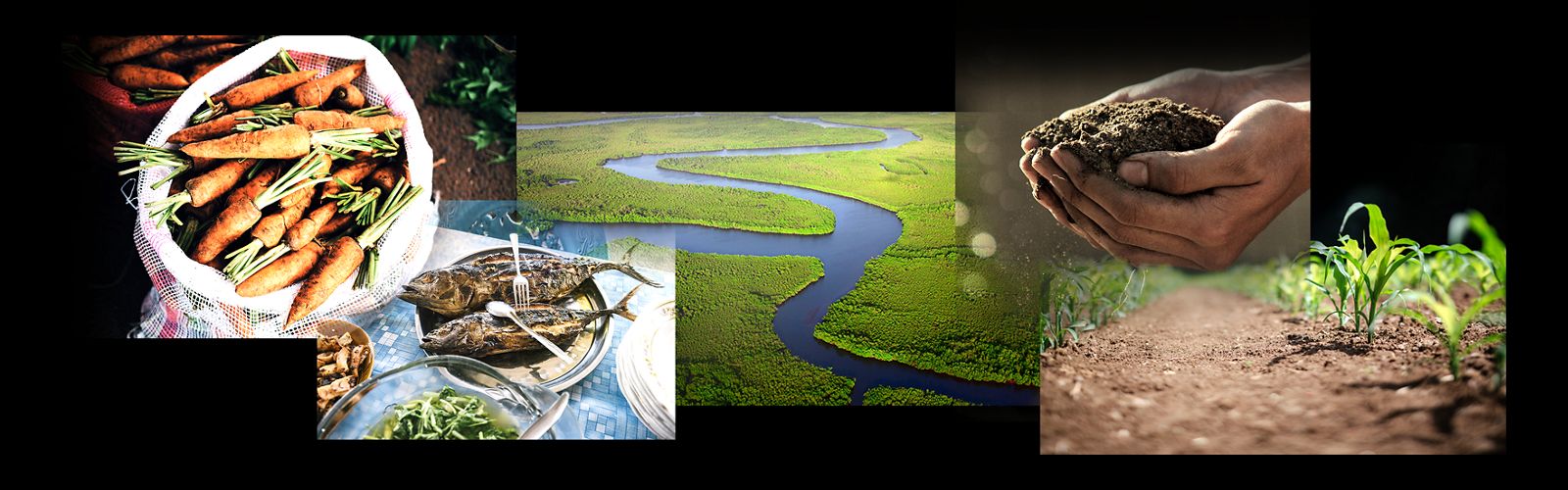 a collage of photos showing vegetables, fish, a river, a handful of soil and crops in the ground, against a black background
