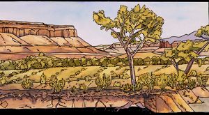 A person pointing to brown biocrust.