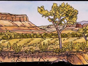 An illustration showing a cross-section of earth with a tree growing out of it and a row of bushes in the middle ground and desert mesas in the background.