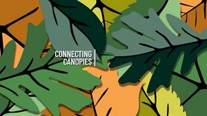 Illustrated overlapping leaves in various shades of green, yellow, and orange with the text Connecting Canopies in white.