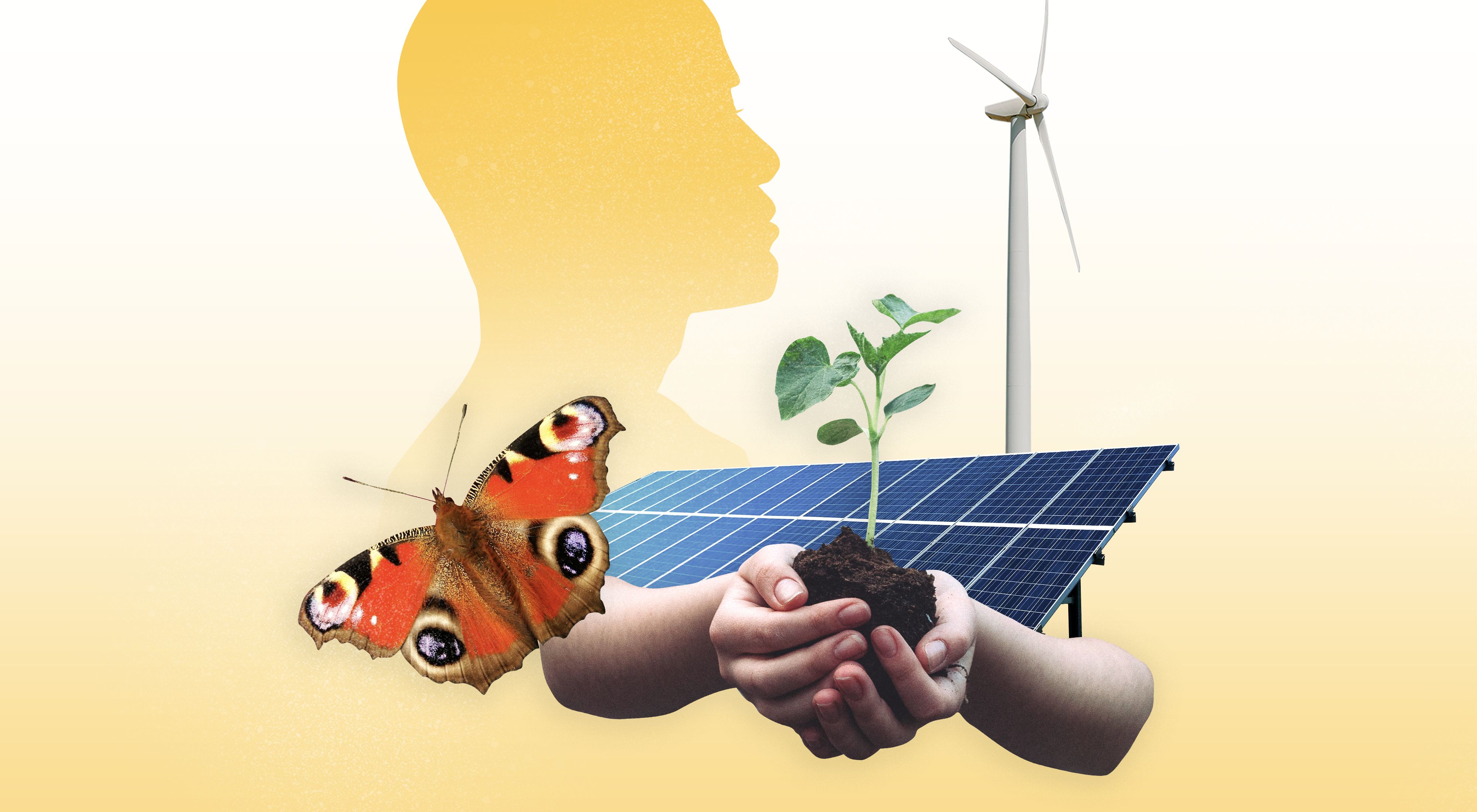 Graphic drawing of a solar panel, wind turbine, butterfly, and plant growing in soil in hands.