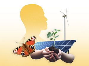 Graphic with solar panel, plant, wind turbine, and hands.