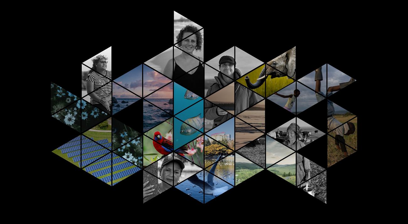 A collage of photos of people from all around the world, animals and landscapes against a black background.