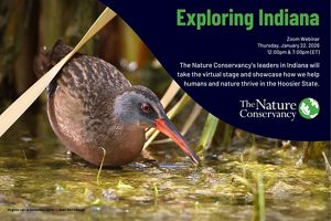 Postcard for Exploring Indiana webinar featuring Virginia rail in a wetland.