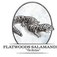 Flatwoods salamander illustration