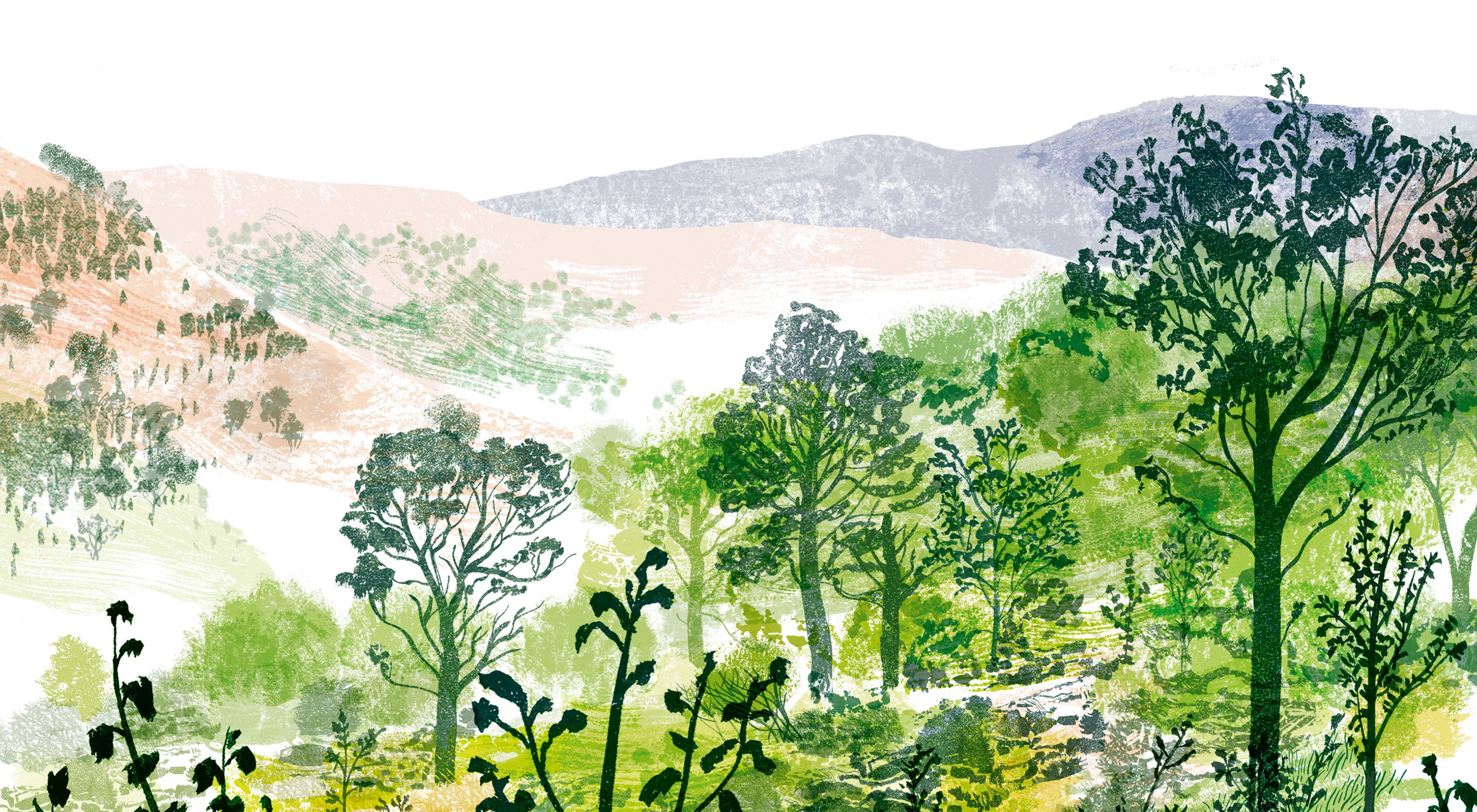 a collage-like illustration of a landscape with logs shrubs in the foreground and forests in the background