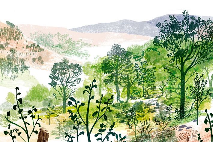 a collage-like illustration of a landscape with logs shrubs in the foreground and forests in the background