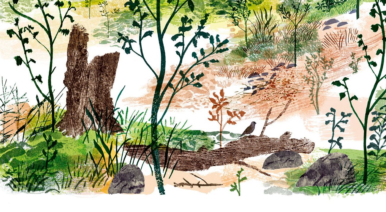a collage-like illustration of a landscape with logs shrubs in the foreground and forests in the background