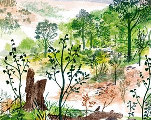 a collage-like illustration of a landscape with logs shrubs in the foreground and forests in the background