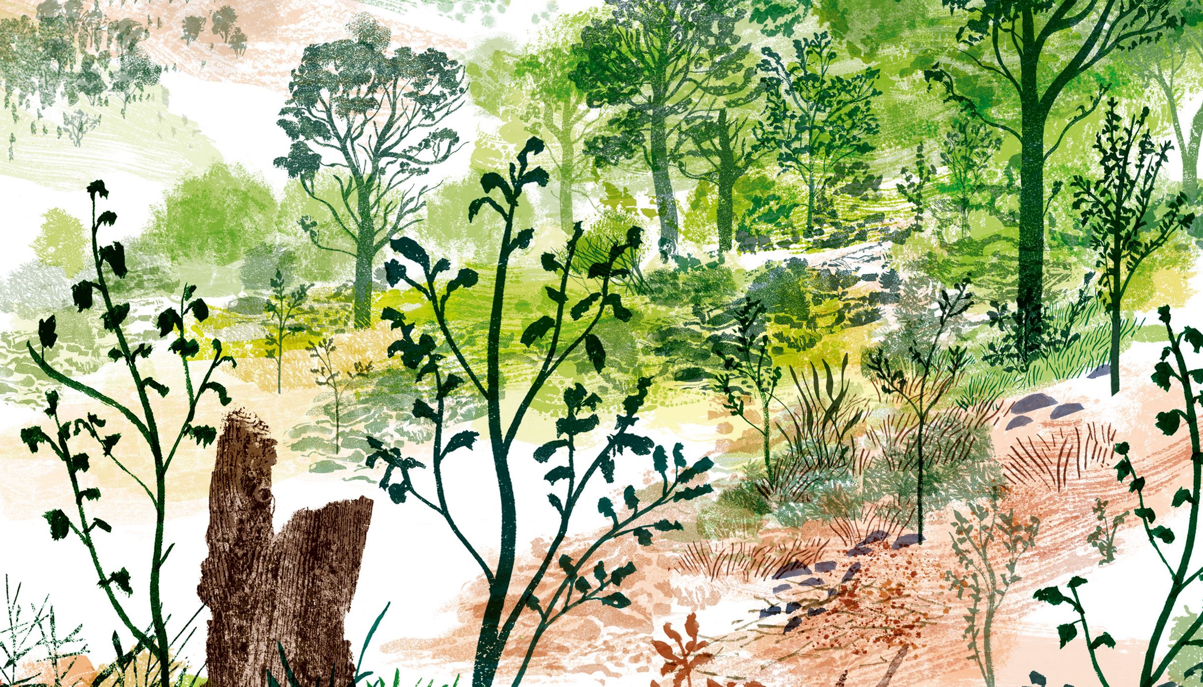 illustrated landscape, shrubs in foreground, forests in background