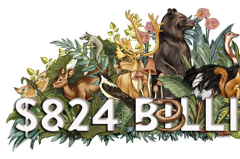 A color illustration shows animals and plants and the number is $824 Billion.