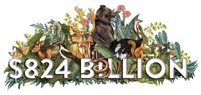 A color illustration shows animals and plants and the number is $824 Billion.