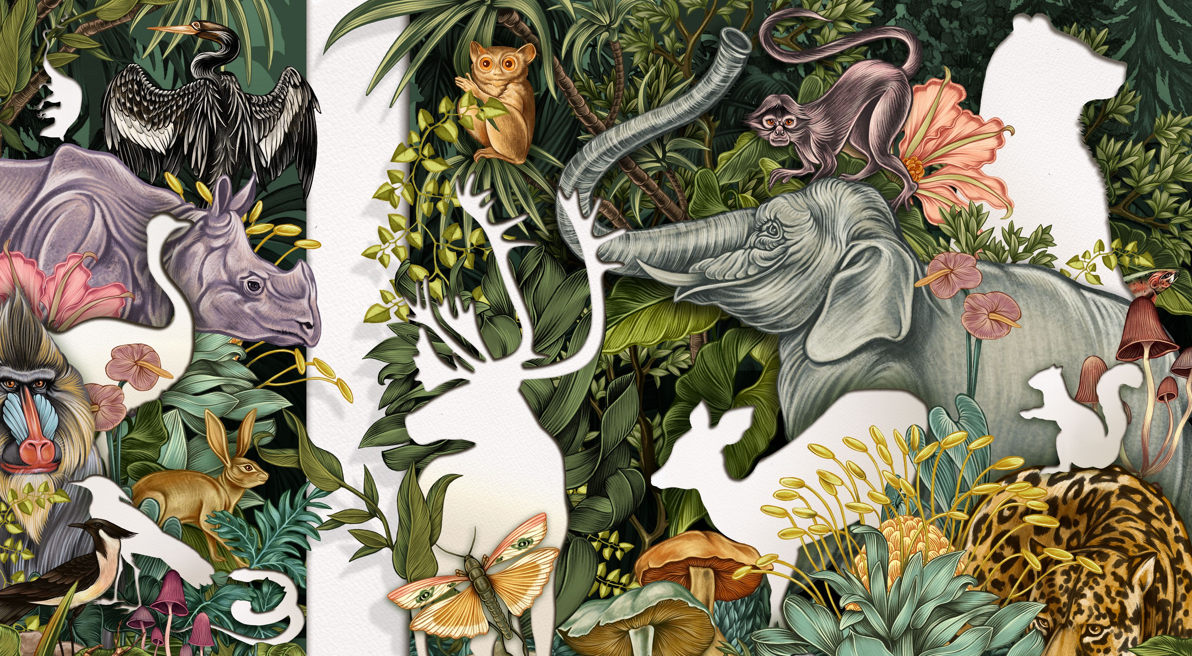 A color illustration shows many plants and animals with some missing as empty silhouettes.