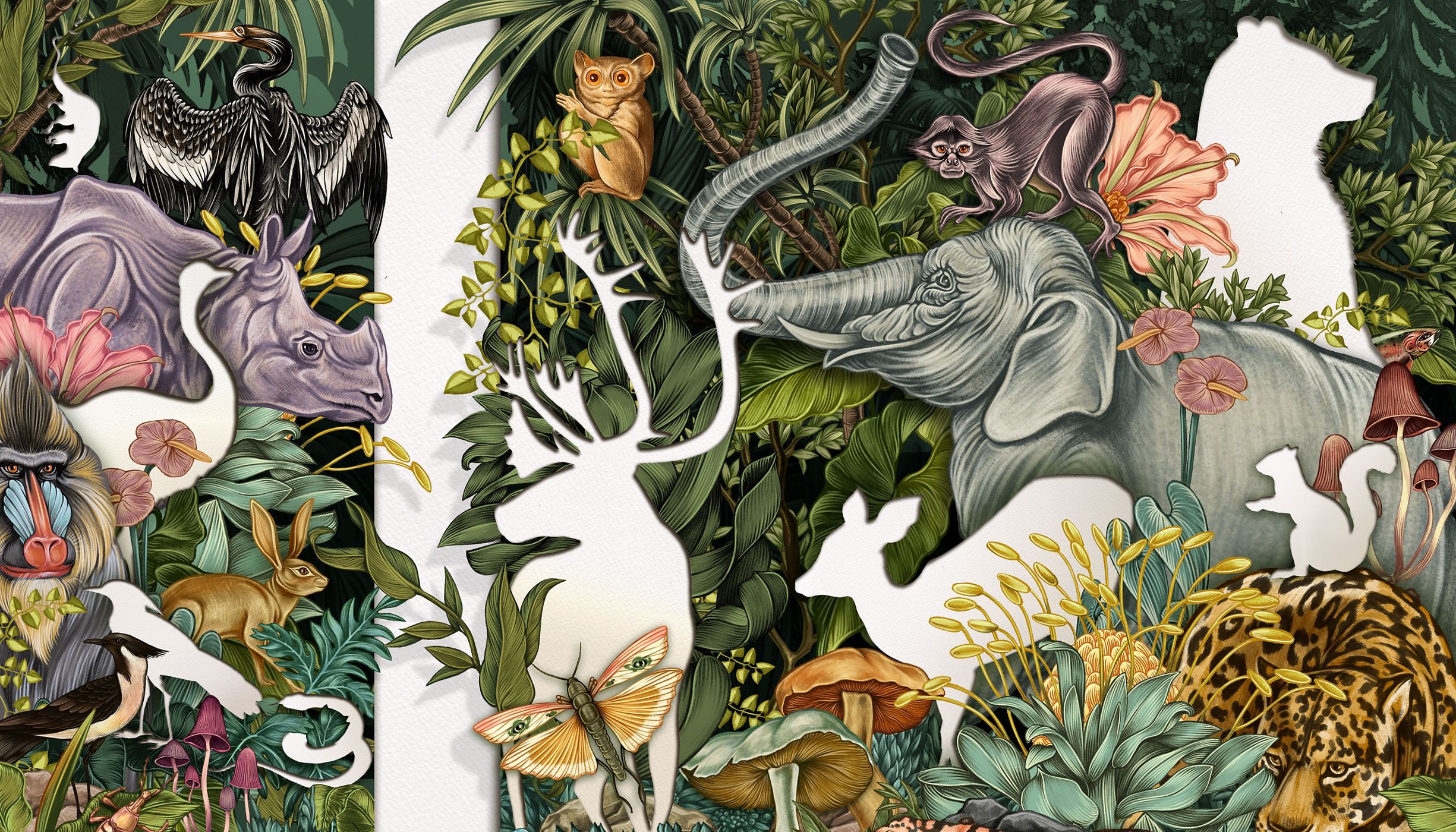 A color illustration shows wildlife and plants with some as white outlines to show they are missing due to the extinction crisis.