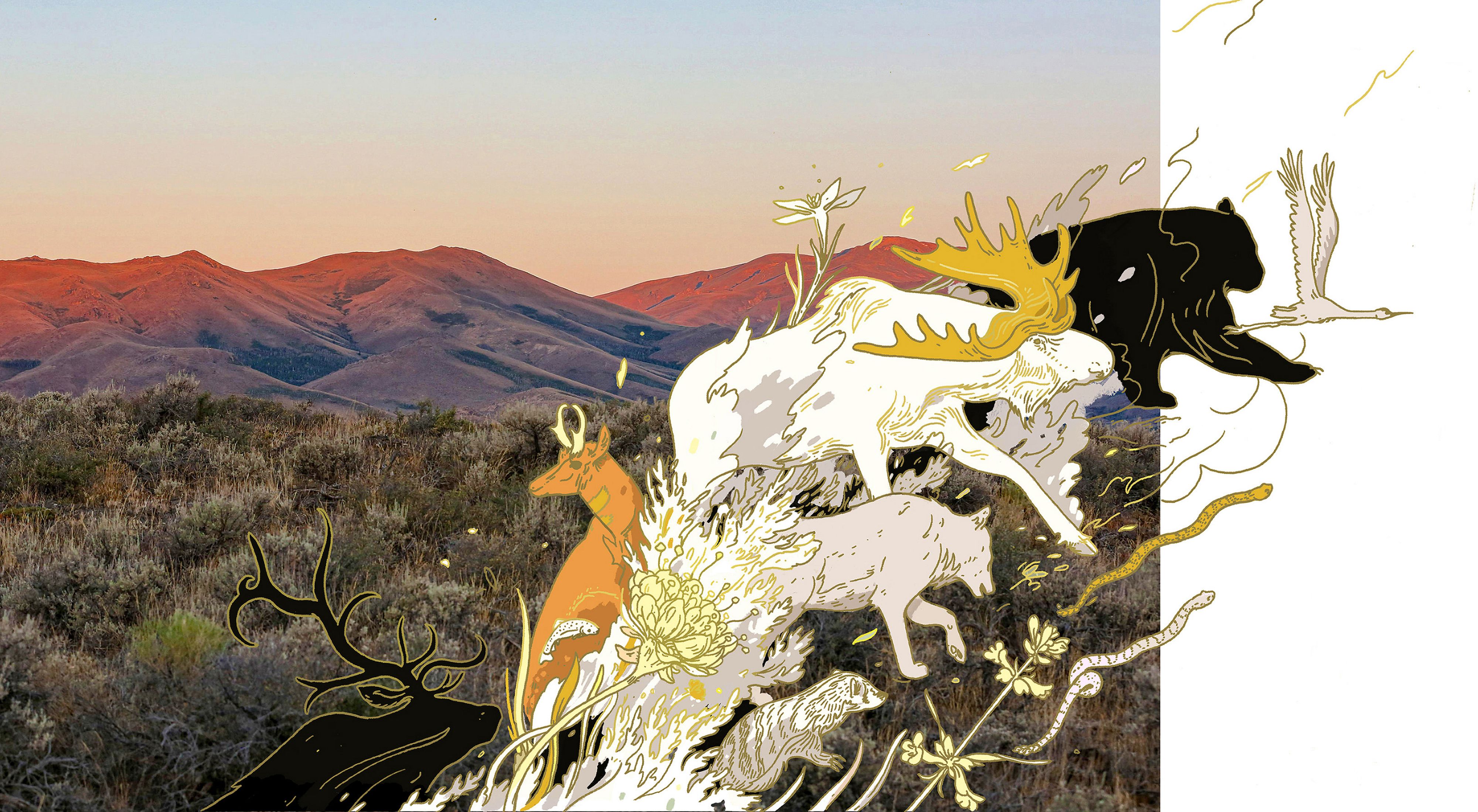 Illustrated animals move across a forest and mountains landscape.