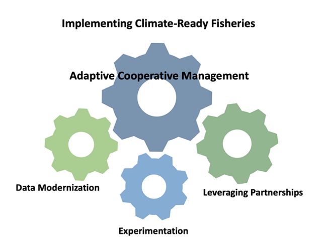 A graphic showing cog wheels of adaptive cooperative management. 