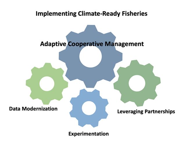 A graphic showing cog wheels of adaptive cooperative management. 