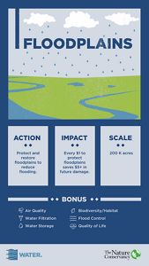 Protecting and restoring floodplains across 200,000 acres in Minnesota could save us up to $5 in flood damages for every $1 invested.