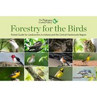Forestry for the Birds pocket guide cover featuring 12 bird species.