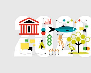 Desafíos para año 2020