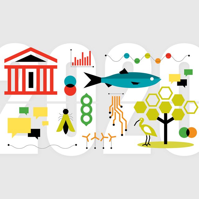Graphic featuring stylized wildlife and windmills