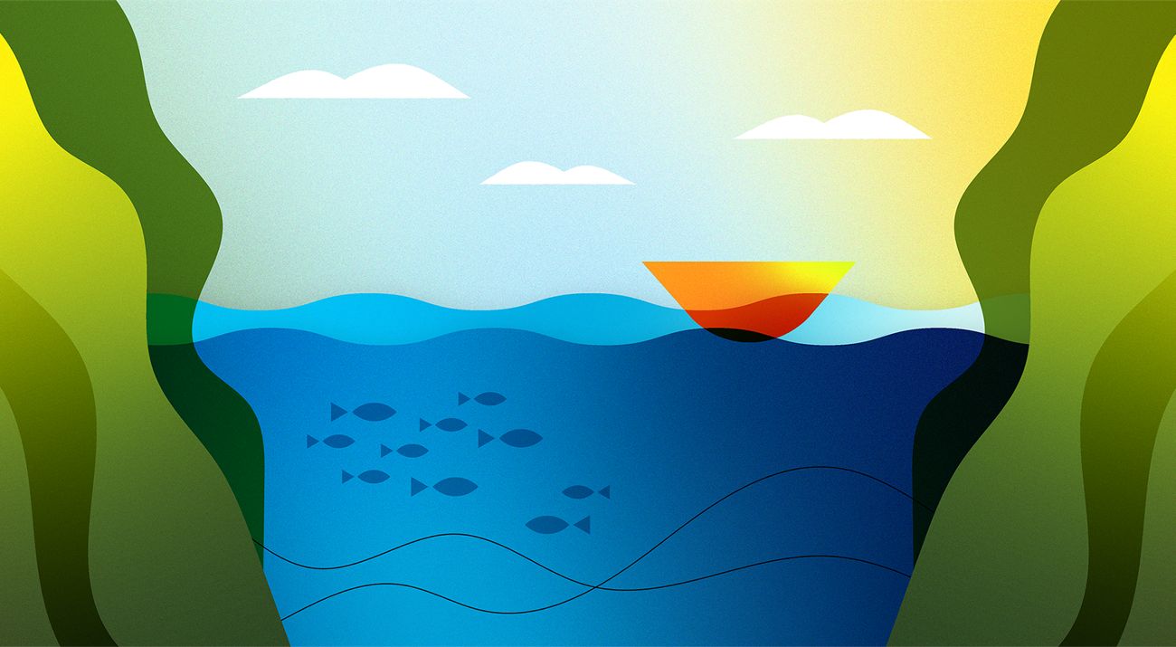 an illustration of a boat on the ocean, with fish and kelp