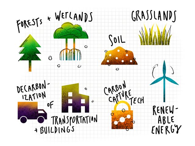 Illustration showing forests, wetlands, grasslands, soil, decarbonization of transportation and buildings, carbon capture technology, and renewable energy visuals.