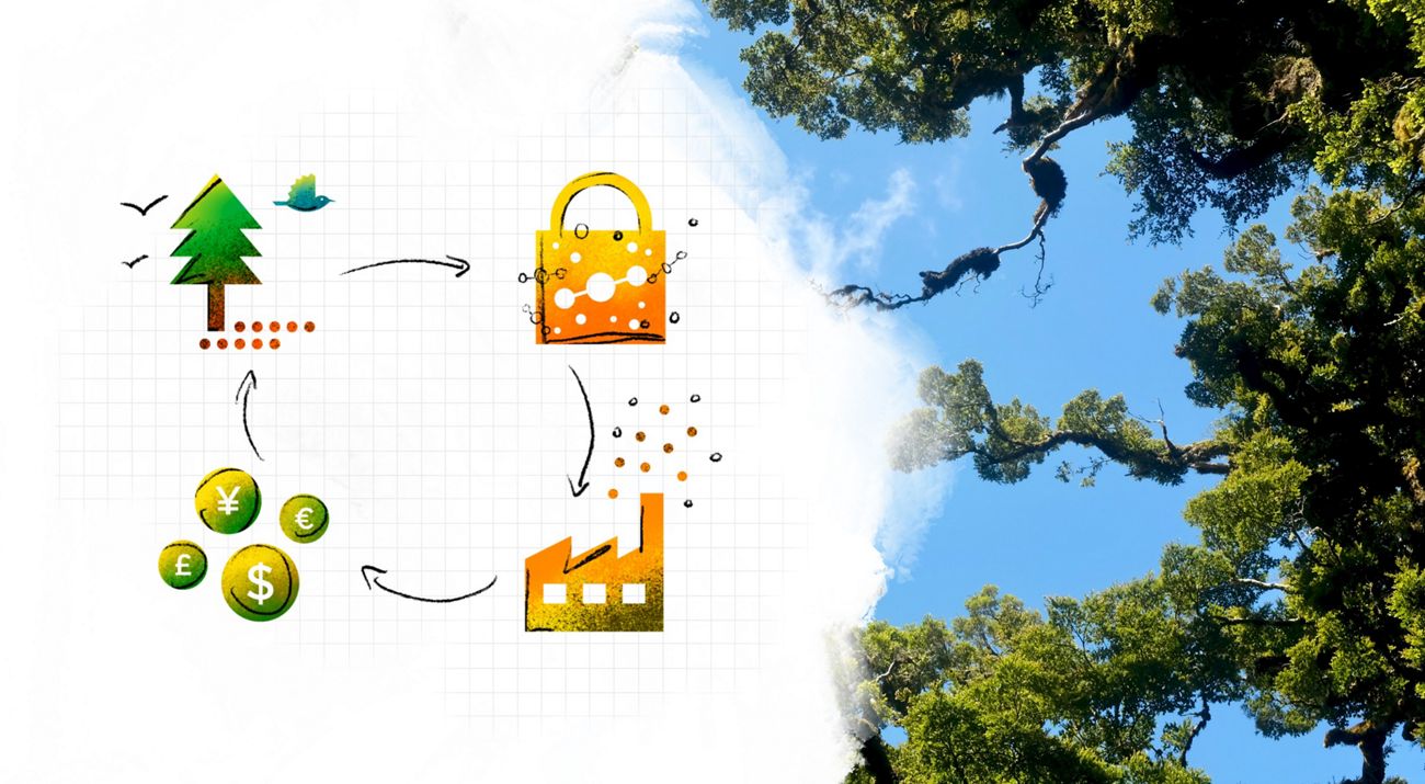 Graphic over a blue sky, showing a tree, with arrow to a lock, arrow to factory emissions, arrow to coins, and arrow back to tree.