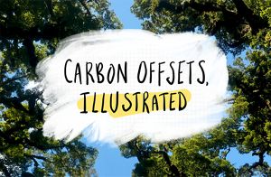 Carbon Offsets, Illustrated | The Nature Conservancy