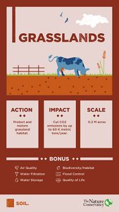 Protecting and restoring native grasslands across Minnesota’s 200,000 available acres could cut our CO2 emissions by up to 60,000 metric tons per year.
