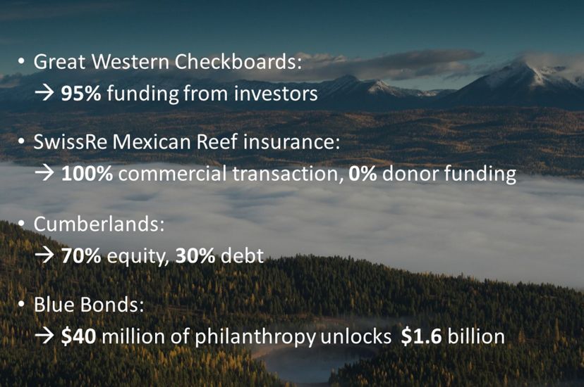 The role of impact capital in major Nature Conservancy projects