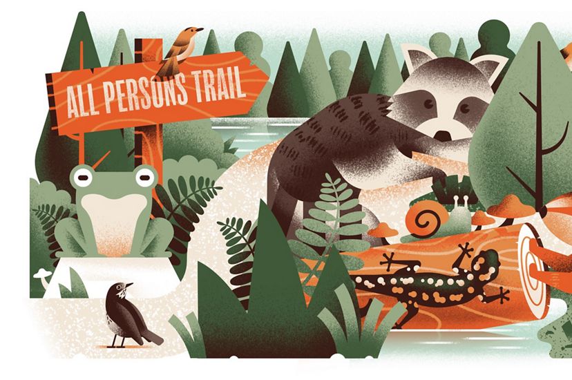 an illustration shows a variety of people enjoying nature and wildlife on the All Persons Trail.