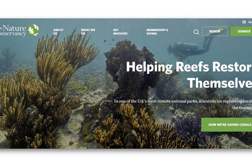 The Nature Conservancy website homepage (screenshot).