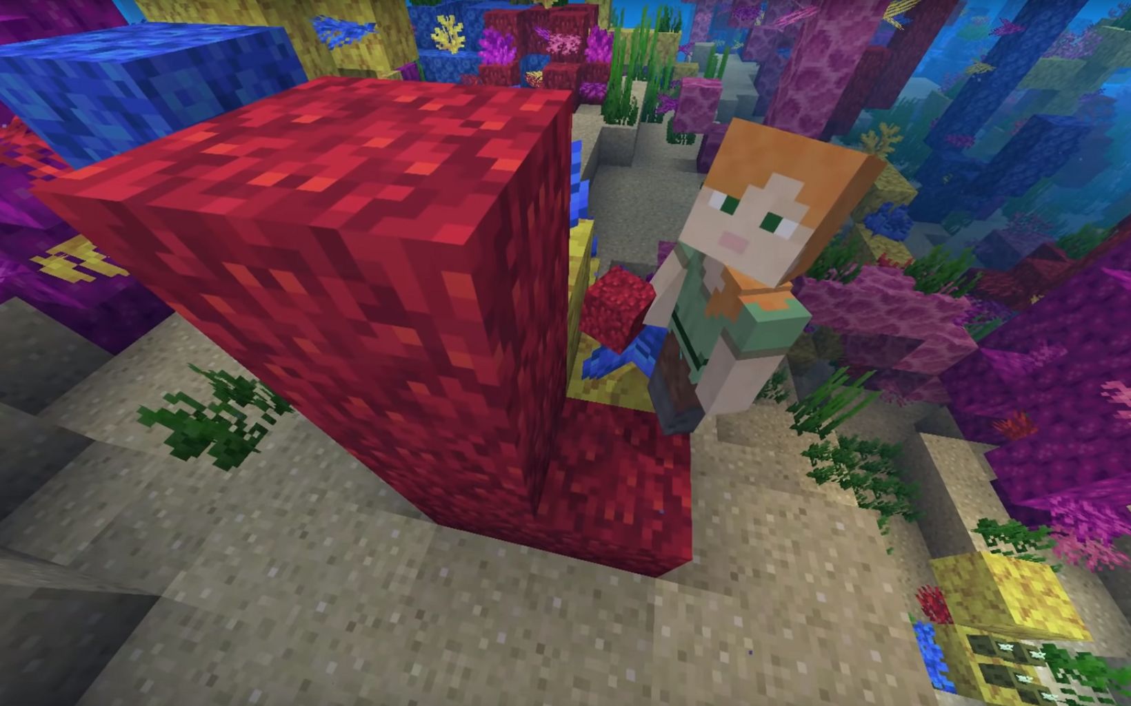 
                
                  Minecraft Minecraft’s in-game oceans include five new coral reefs to build – staghorn, brain, fire, bubble and tube. 
                  
                
              