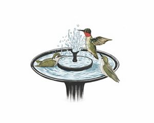 hummingbirds playing and bathing in a birdbath.