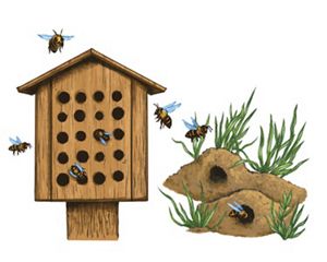 bee houses and native bee habitat do it yourself pollinator garden.