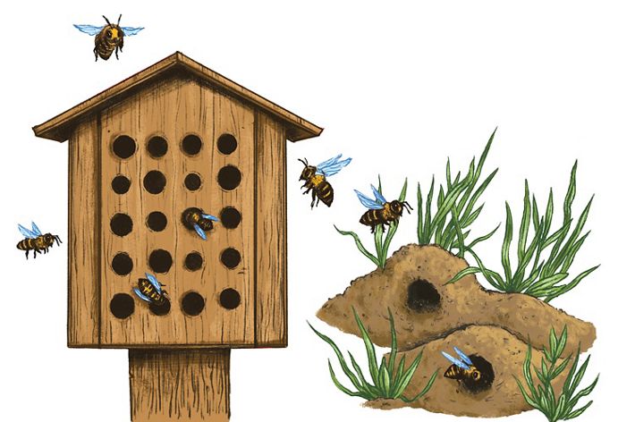 casas de abejas y hábitat de abejas nativas jardín polinizador de bricolaje.
