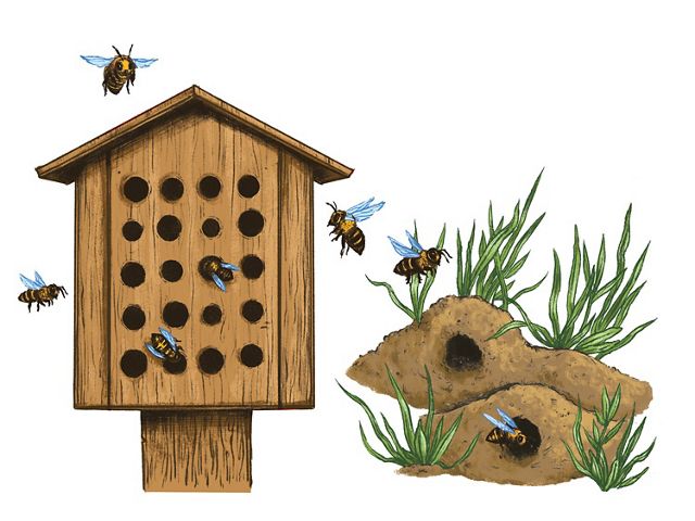 bee houses and native bee habitat do it yourself pollinator garden