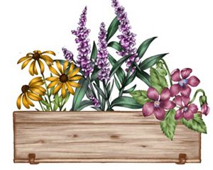 Illustration of wildflowers in a pollinator garden.