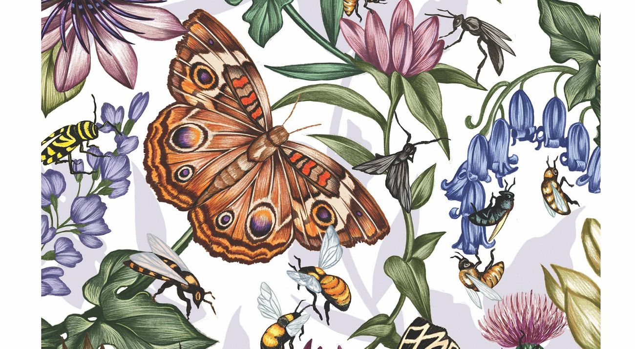 A color drawing of a bee and a flower